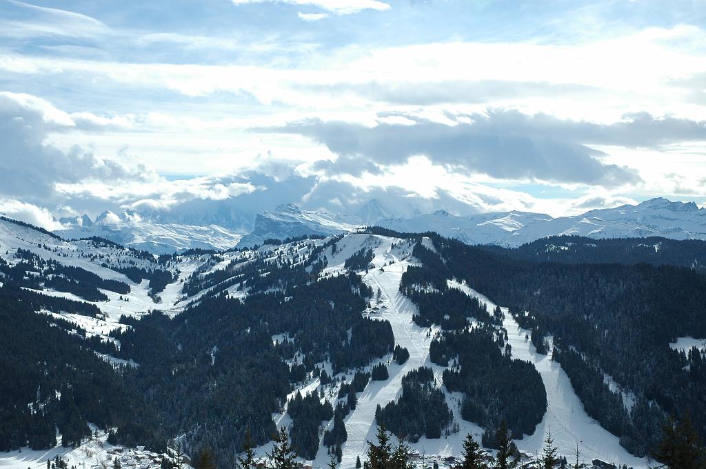 DSC_0183.JPG