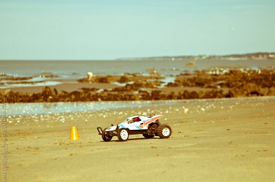 DSC_0029