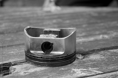 DSC_0061