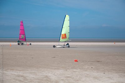 DSC_0099