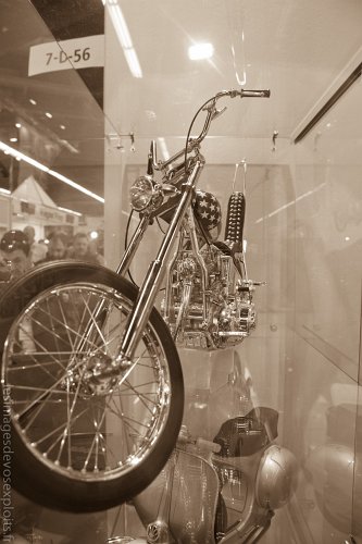 DSC_1013