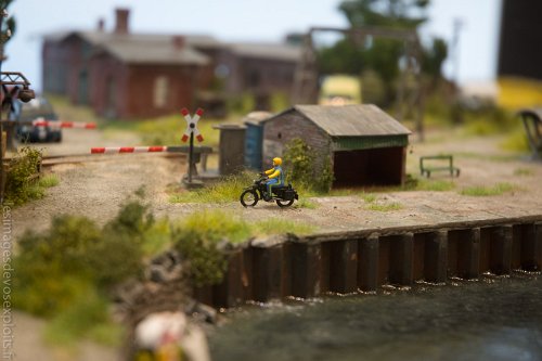 DSC_1346
