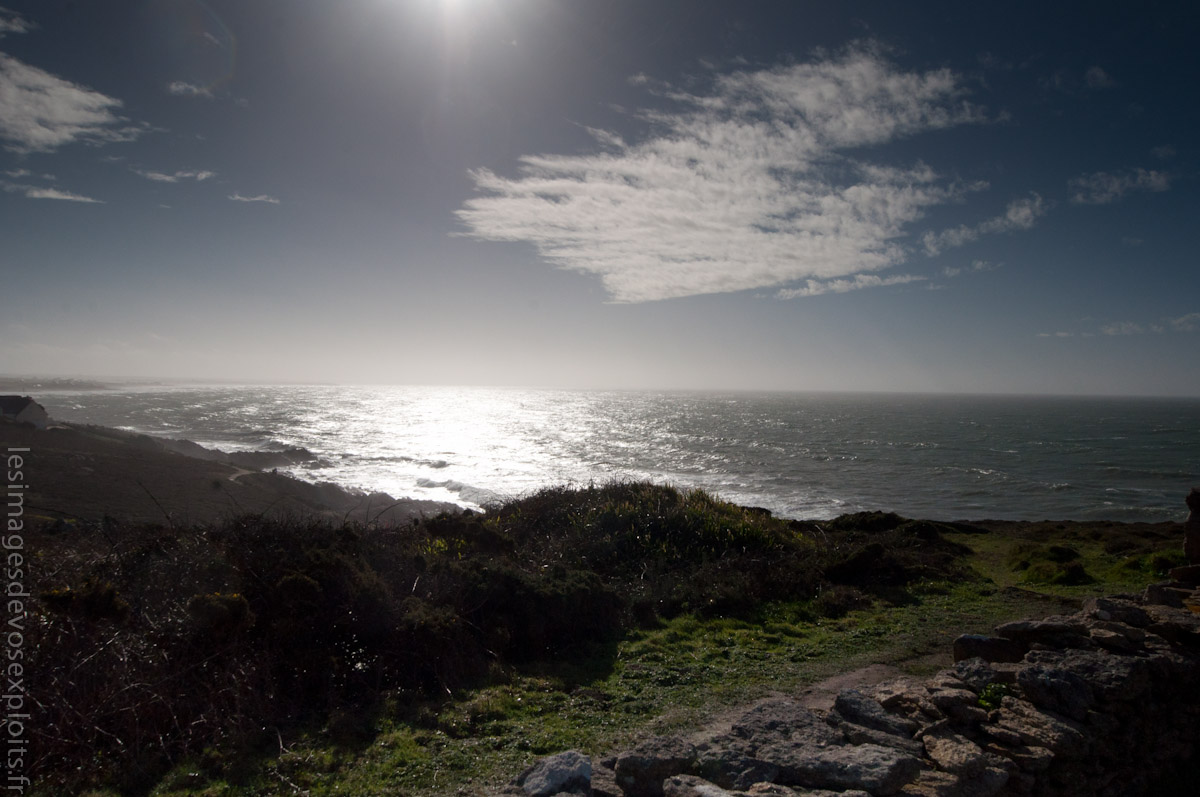 DSC_0099