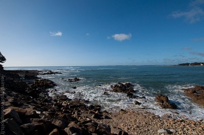 DSC_0067