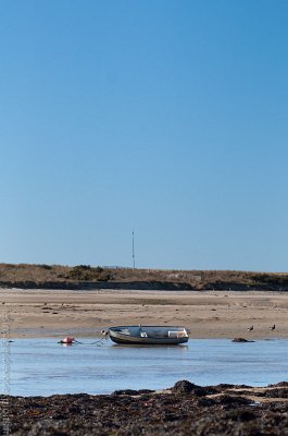 DSC_0164