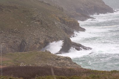 DSC_4835
