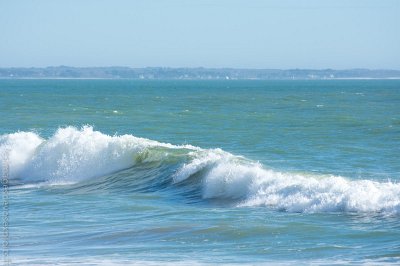 DSC_4856