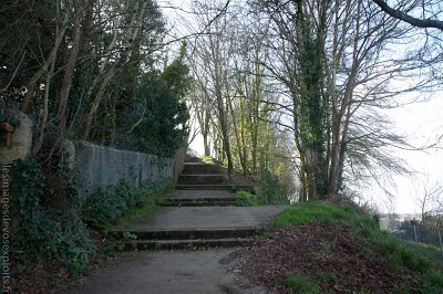 DSC_4938