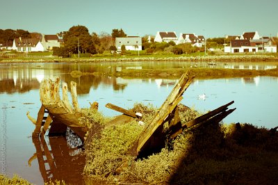 DSC_4953