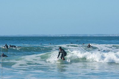 DSC_4963