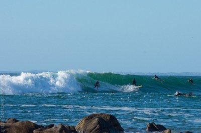 DSC_4972