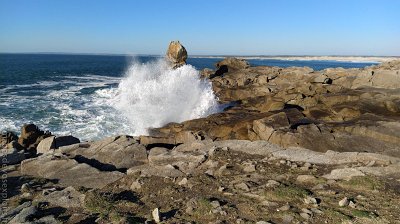IMG_20210226_164114_BURST18